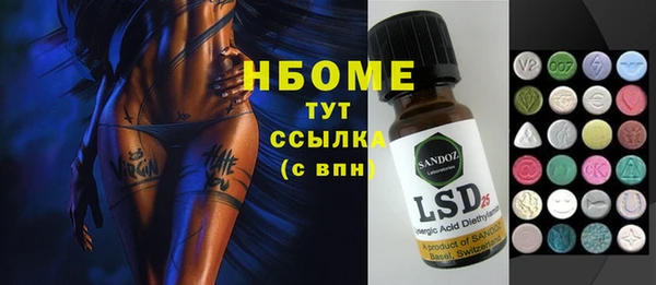 индика Сясьстрой