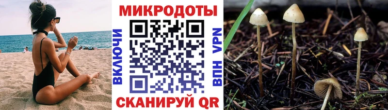 как найти закладки  Красноуральск  Галлюциногенные грибы прущие грибы 